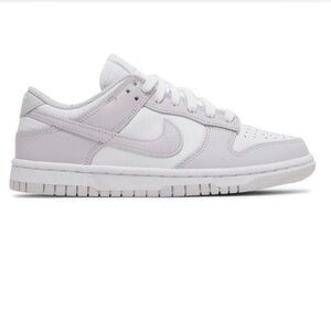 Nike Light Gray and White Low-Top Sneakers